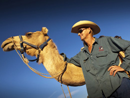 Camel Trekking or Horse Riding